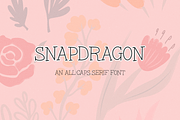 Snapdragon Serif Font, a Handwritten Font by Beck McCormick (Thumbnail 1 of 10)