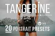 Tangerine Presets - Lightroom & ACR, an Action Add-On by Presetrain Co. (Thumbnail 1 of 12)