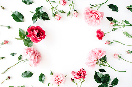 Floral frame with roses stock photo containing roses and leaves, a Nature Photo by Floral Deco