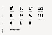 TT Berlinerins, a Sans Serif Font by TypeType (Thumbnail 5 of 15)