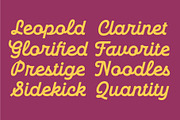 TNSC Phillso - Monoline Script, a Script Font by The Native Saint Club (Thumbnail 12 of 14)