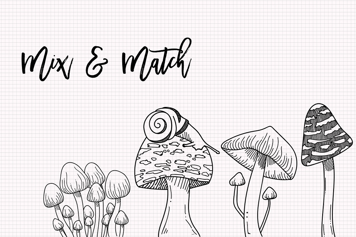 Mushroom Sketch Clipart Collection, an Illustration by Hannah Eliza Studio (Photo 4 of 5)