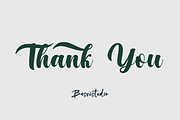 Maichigan Bold Script Font, a Script Font by Basnistudio (Thumbnail 8 of 8)