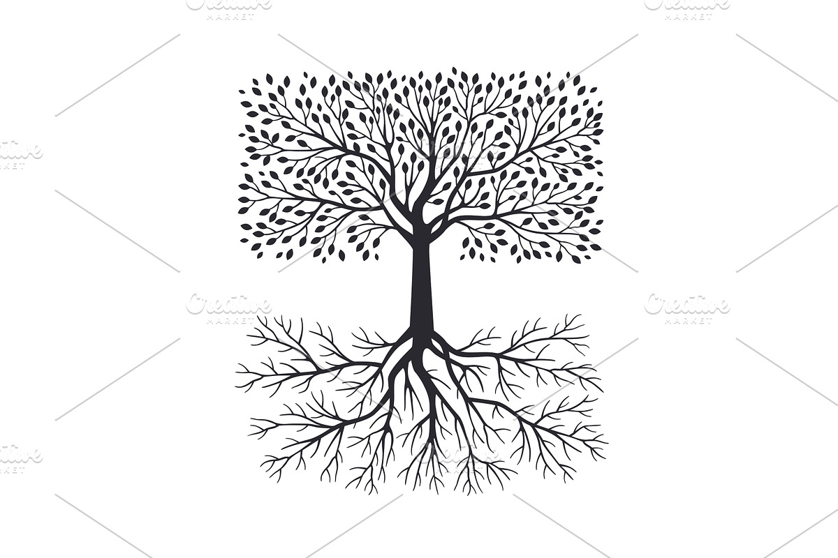 Olive tree with roots, a Food Illustration by kotoffei