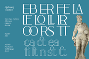 Rottering - Modern Serif Typeface, a Serif Font by Absonstype (Thumbnail 8 of 12)