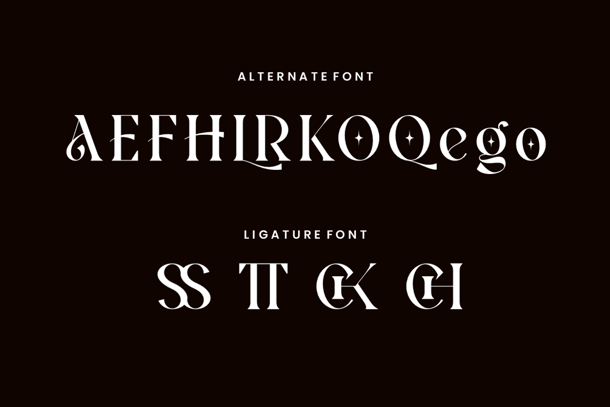 Atfagis - Modern Serif Font, a Serif Font by QR Design Studio (Photo 8 of 14)