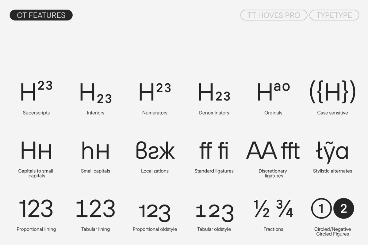 TT Hoves Pro Basic, a Font by TypeType (Photo 12 of 15)