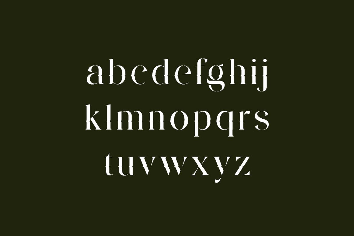 Zamoneva Elegant Serif Display Font, a Serif Font by UICreative (Photo 8 of 13)