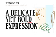 Ordinant, a Serif Font by deadlock studio (Thumbnail 5 of 8)