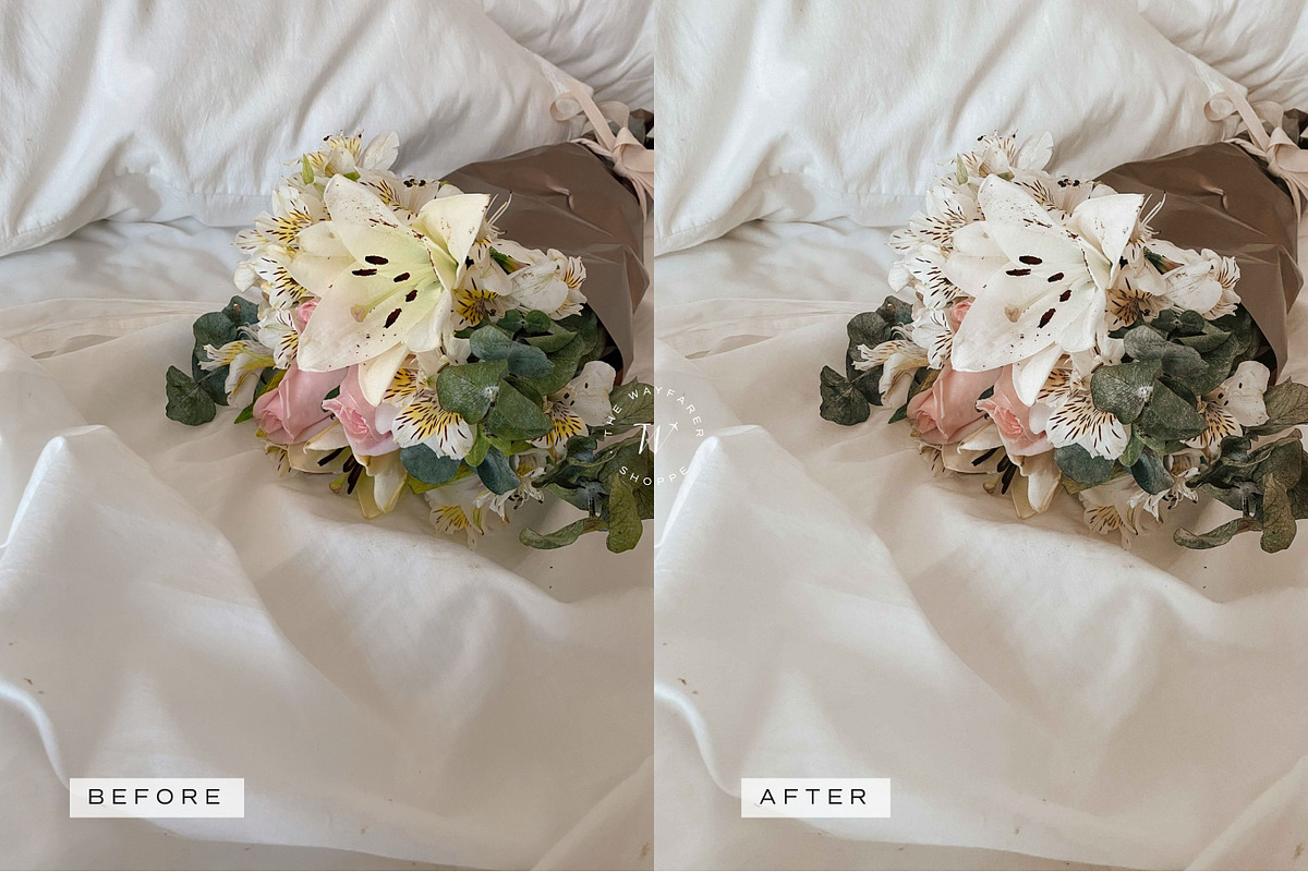Influencer LR Preset + Video Filter, a Preset Add-On by TheWayfarerShoppe (Photo 12 of 18)