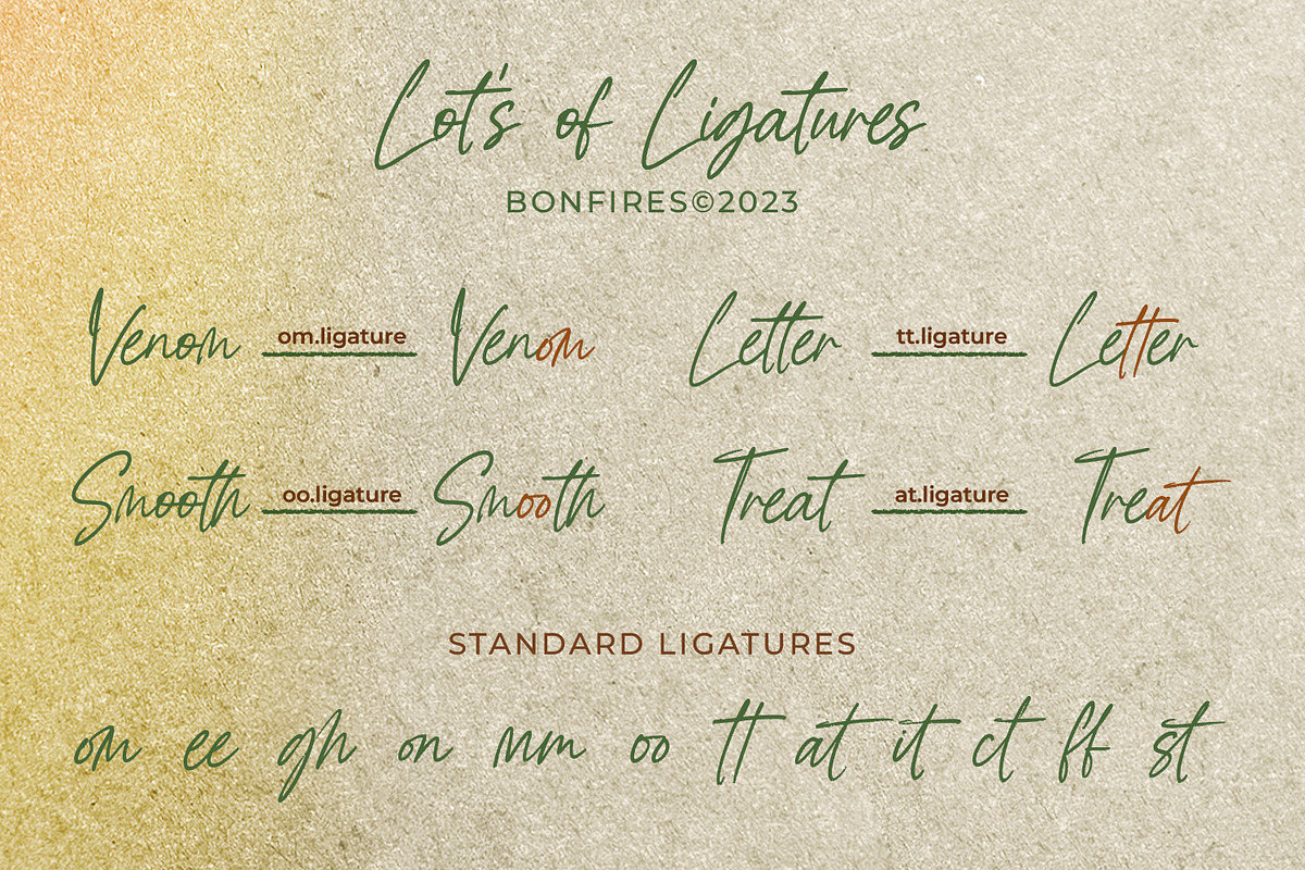 Bonfires, a Script Font by Ditatype (Photo 8 of 10)