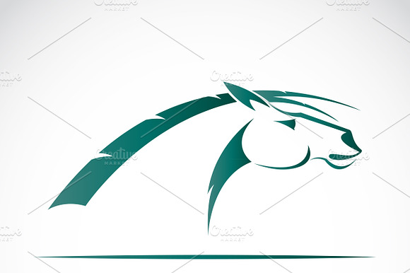 Vector Of A Horse Head. Animal.
