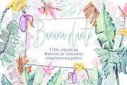 Banana blossom plants Watercolor set, an Illustration by Shabbypie (Thumbnail 1 of 13)