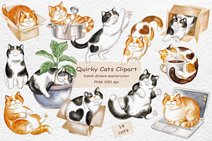 Funny Cats & Thought Bubbles - Quirk, an Animal Illustration by Watercolor dreams