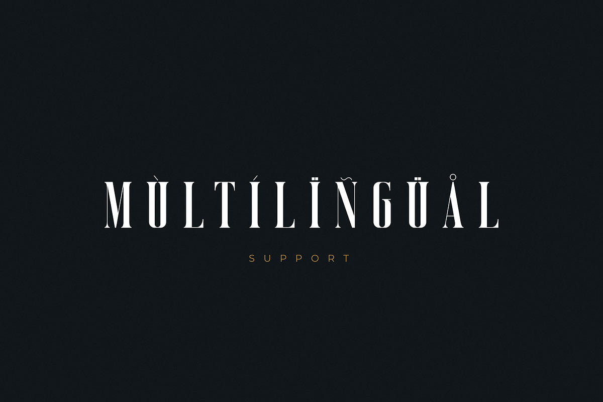 Vicenza - Luxurious & Elegant Serif, a Serif Font by Almarkhatype (Photo 10 of 10)