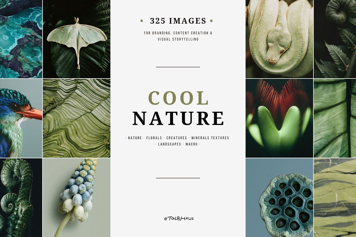 Cool nature | 325 stock photos, a Background Photo by Tale.Haus (Photo 1 of 19)