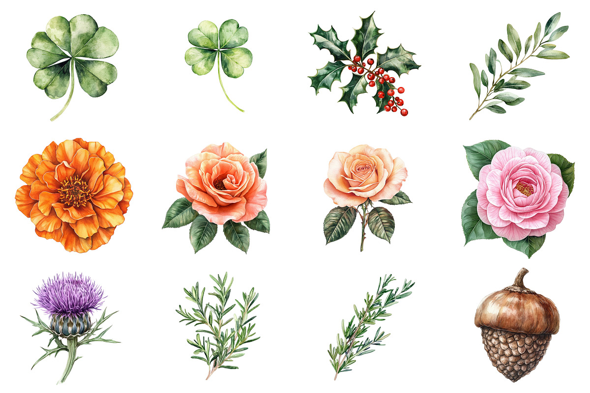 Vintage Botanical Clipart, an Illustration by CitraGraphics (Photo 2 of 4)