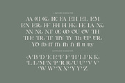 Misty Voguel - Aesthetic Serif Font, a Serif Font by Imoodev (Thumbnail 6 of 6)