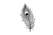 Peacock Feather Silhouette Bundle, an Illustration by jahid234 (Thumbnail 28 of 31)