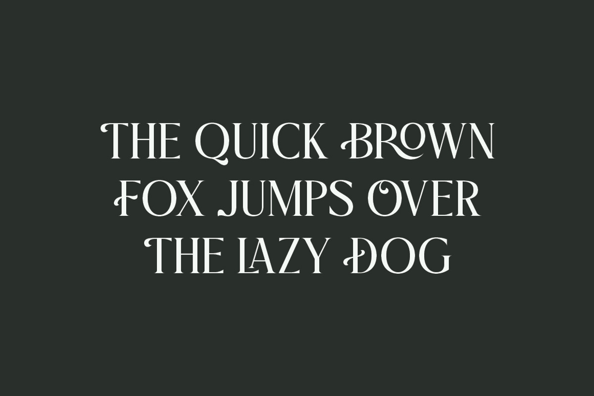 Praise Elegant Stylish Font, a Serif Font by Typebae (Photo 10 of 12)