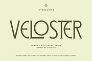 Logo Serif Branding Font - Veloster, a Serif Font by Say Studio (Thumbnail 1 of 8)