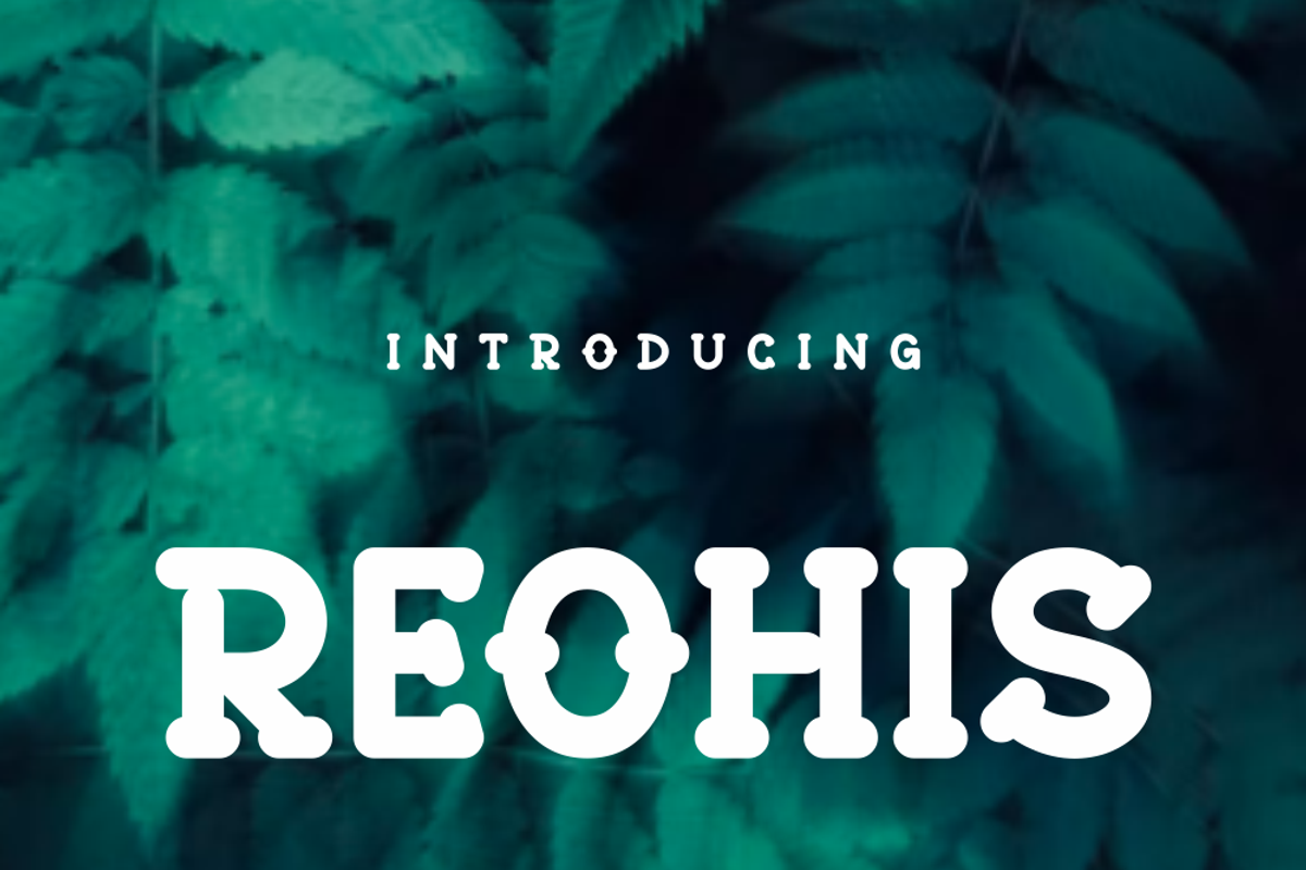 Reohis, a Serif Font by lelevien (Photo 1 of 5)