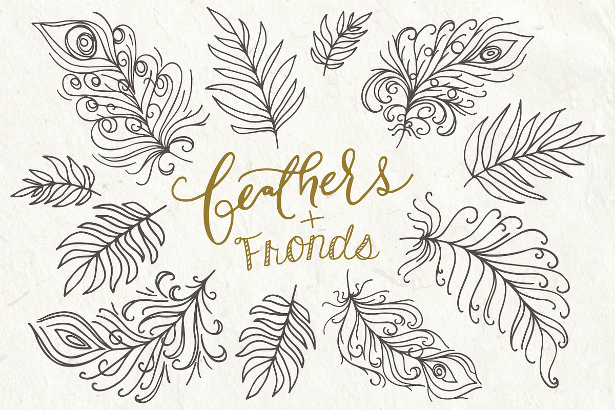 Feathers Clipart + Bonus Templates, an Object Graphic by The Pen and Brush (Photo 1 of 6)