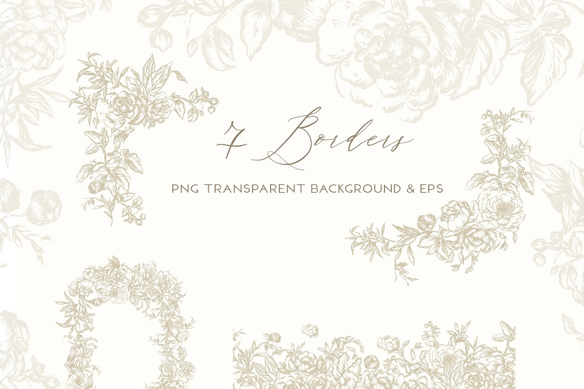Vintage Peony - Flowers Line Art, a Decorative Illustration by BlumenSoul (Photo 3 of 9)
