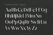 Bestira - Script And Serif Duo Font, a Serif Font by Flawless And Co (Thumbnail 8 of 10)