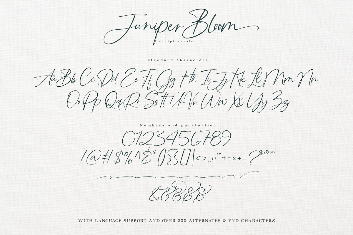 Juniper Bloom | Script & SVG Serif, a Handwritten Font by Callie Rian & Co. (Photo 25 of 26)