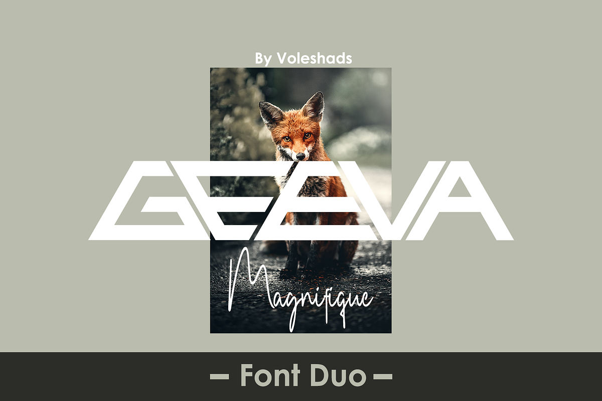 Geeva, a Sans Serif Font by Voleshads (Photo 1 of 7)