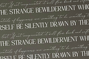 Florens Font Duo, a Serif Font by Storytype Studio (Thumbnail 6 of 15)