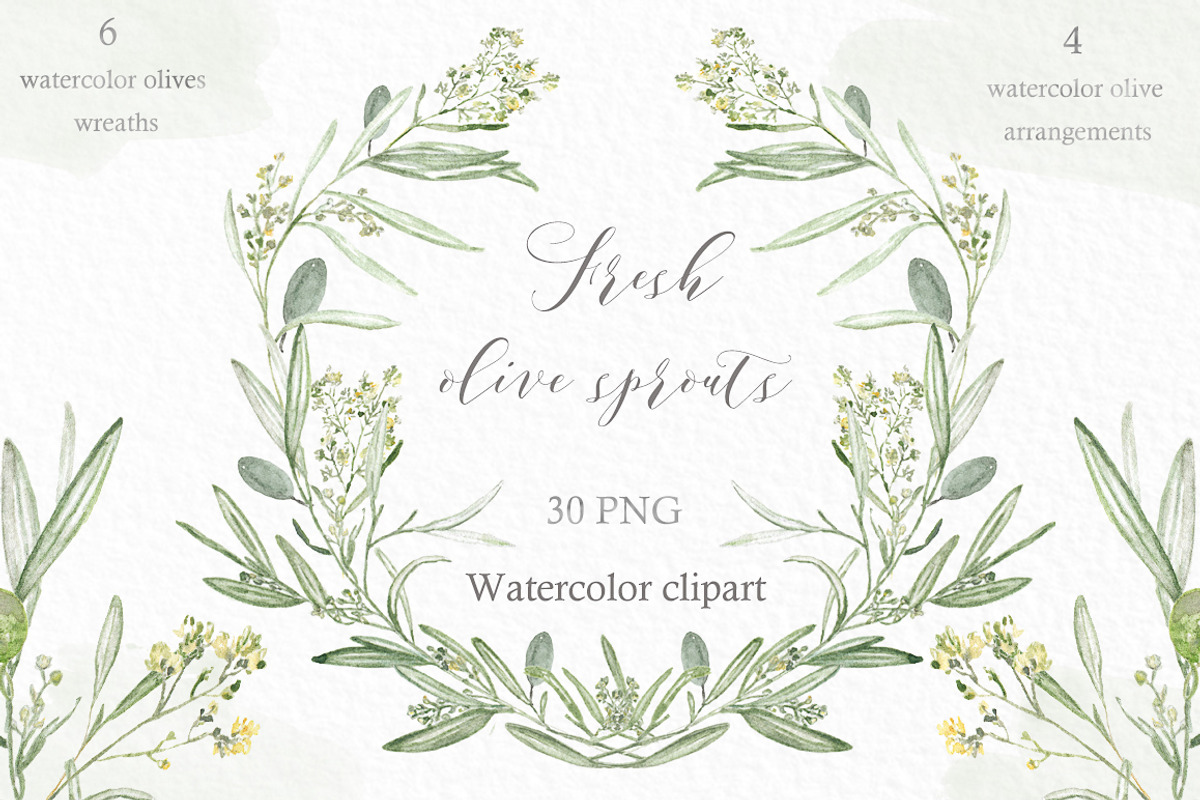 Olive Branch Wreaths clipart, an Illustration by LABFcreations (Photo 2 of 5)