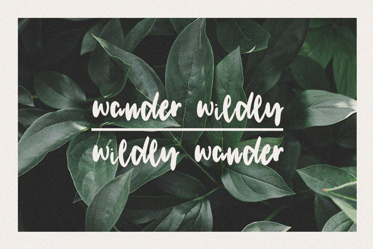 The Beloved Co. | Font Collection preview 3