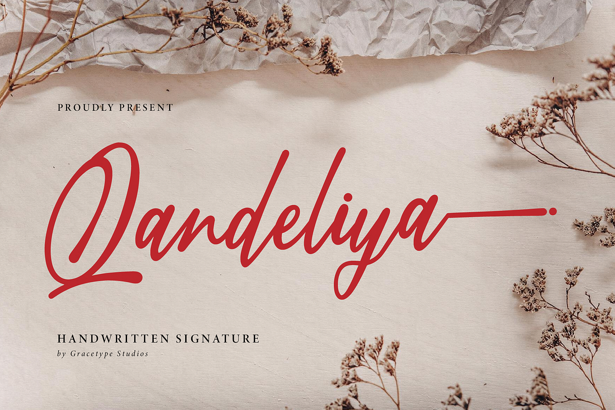 Qandeliya | Handwritten Signature, a Script Font by gracetype_studio (Photo 1 of 12)