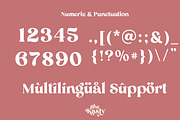 Algebra Ligature Modern Serif, a Serif Font by Luna Shop (Thumbnail 9 of 10)