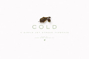 Cold Font, a Sans Serif Font by Union Dues Design Co. (Thumbnail 1 of 3)