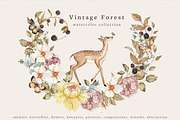 Vintage Forest. Watercolor clipart, an Animal Illustration by Ooh Lily (Thumbnail 1 of 22)