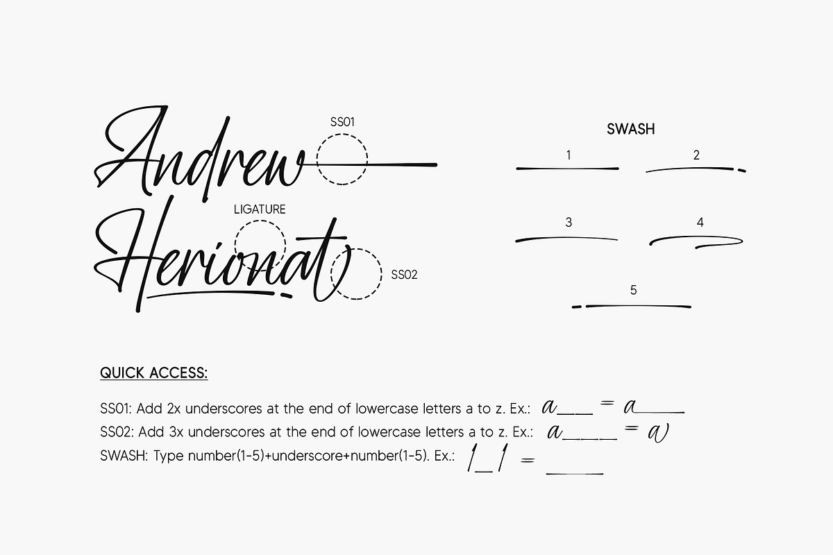 Amity | Signature Family, a Script Font by Lemonthe (Photo 8 of 9)