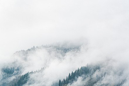 silhouette of the trees in the clouds, a Nature Photo by Anna Bogush