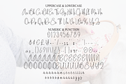 Embroidery Signature | Script Font, a Handwritten Font by Scratchones (Thumbnail 7 of 9)