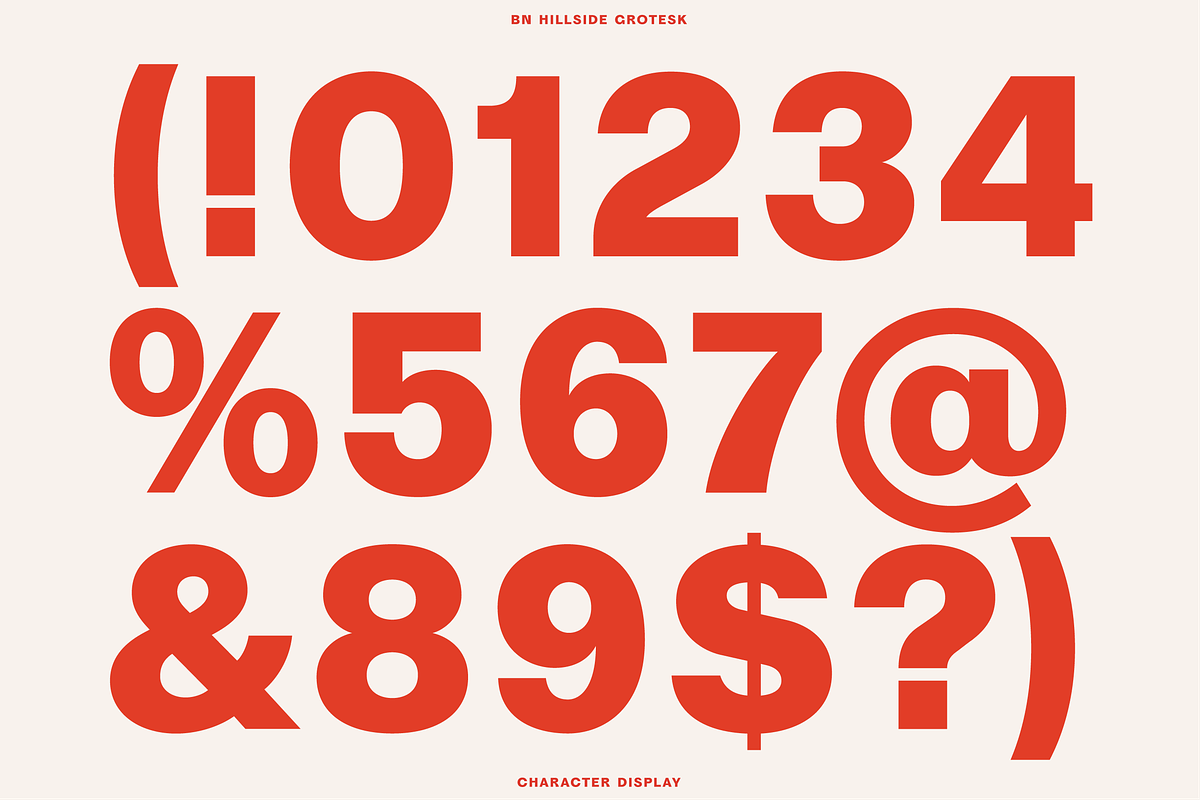 BN Hillside Grotesk, a Sans Serif Font by Bnick (Photo 12 of 14)