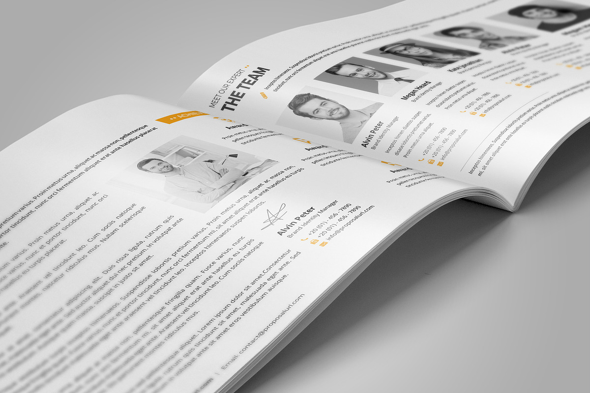 Company Project Proposal v2, a Brochure Template by Miyaji75 (Photo 4 of 16)