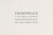 Solora – Elegant Modern Serif Font, a Serif Font by Only Fonts (Thumbnail 9 of 11)