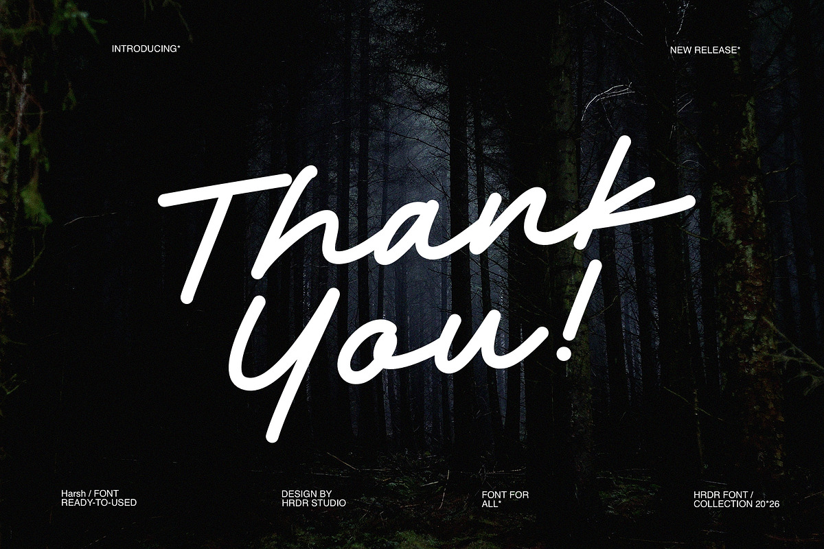Harsh, a Script Font by HRDR (Photo 7 of 7)