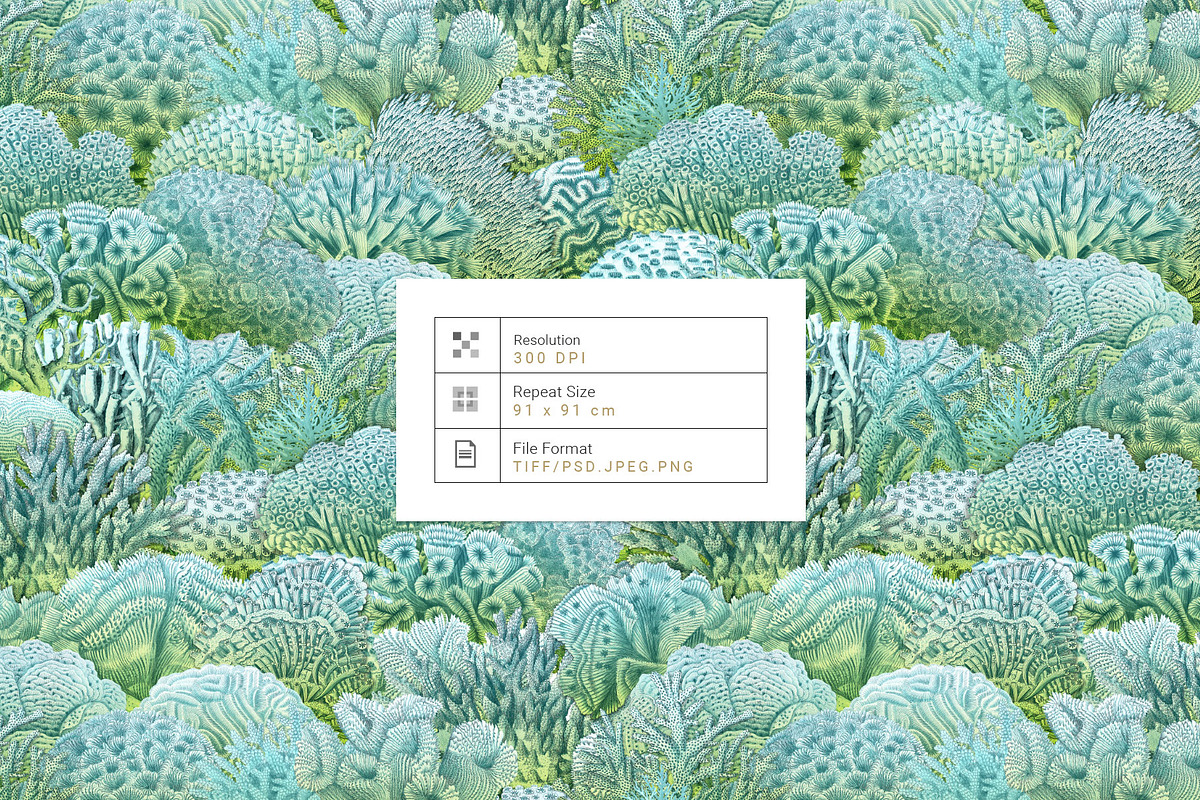 Pelagia, Luxury Coral reef Prints++, a Pattern Graphic by Pink Linen (Photo 2 of 15)