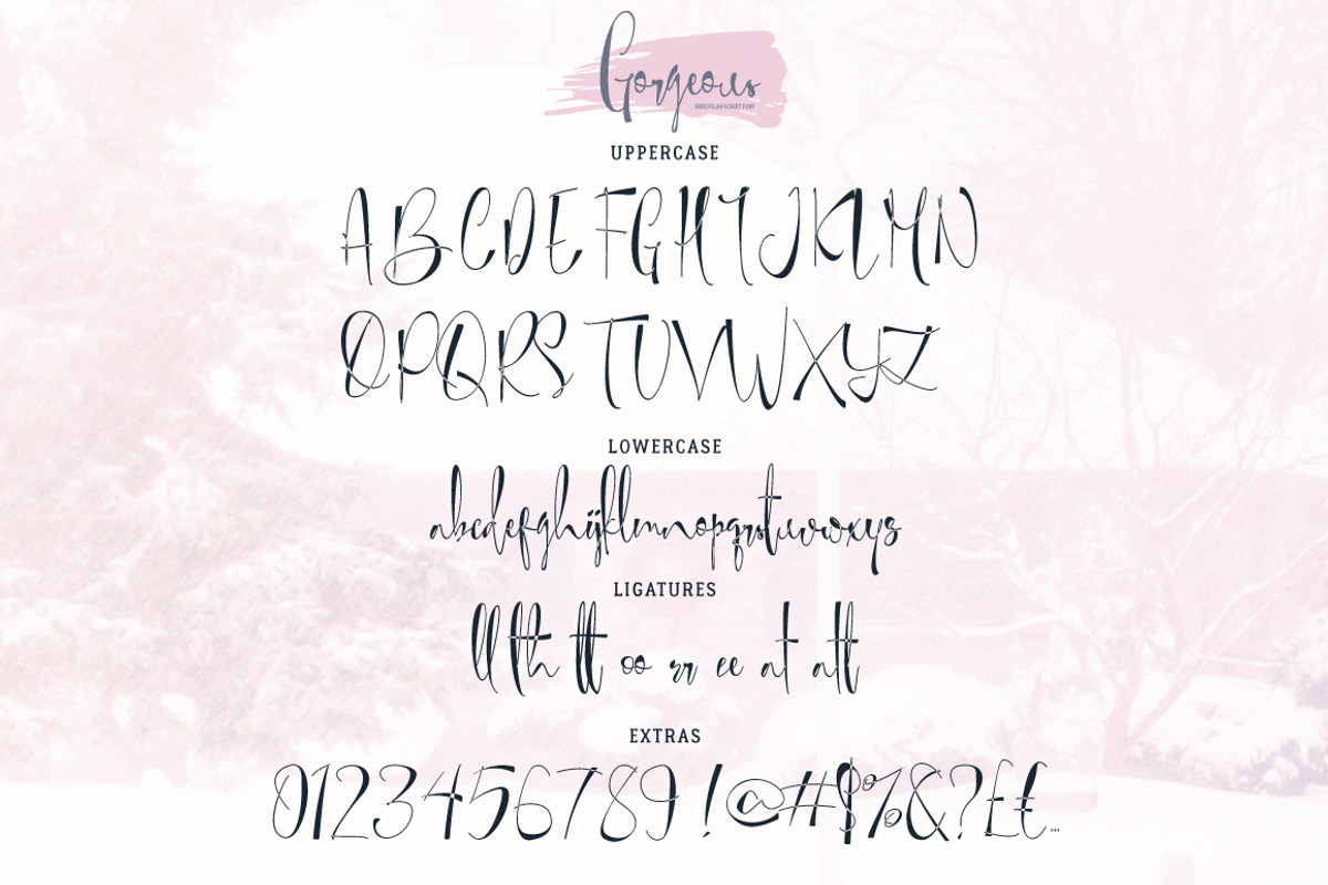 Gorgeous Typeface preview 4