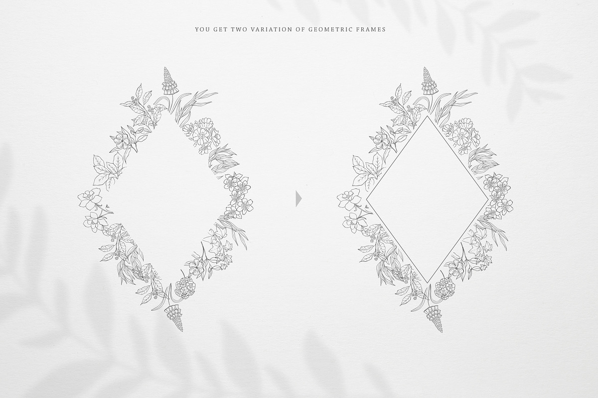 Botany & Moon. Hand Drawn Line Art., a Decorative Illustration by Designwork (Photo 11 of 20)