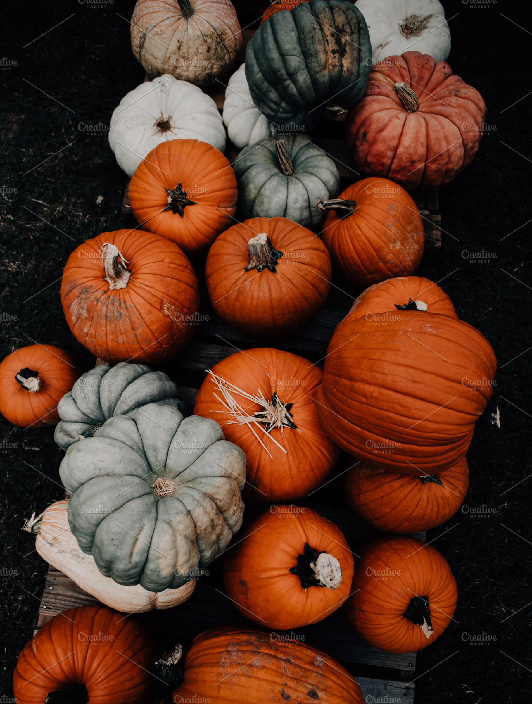 Fall pumpkin patch farmers market containing fall colors, fall foods, and, a Food & Drink Photo by Nine Photography