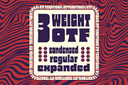 Glaw - Variable Fonts, a Font by Flavortype (Thumbnail 3 of 20)